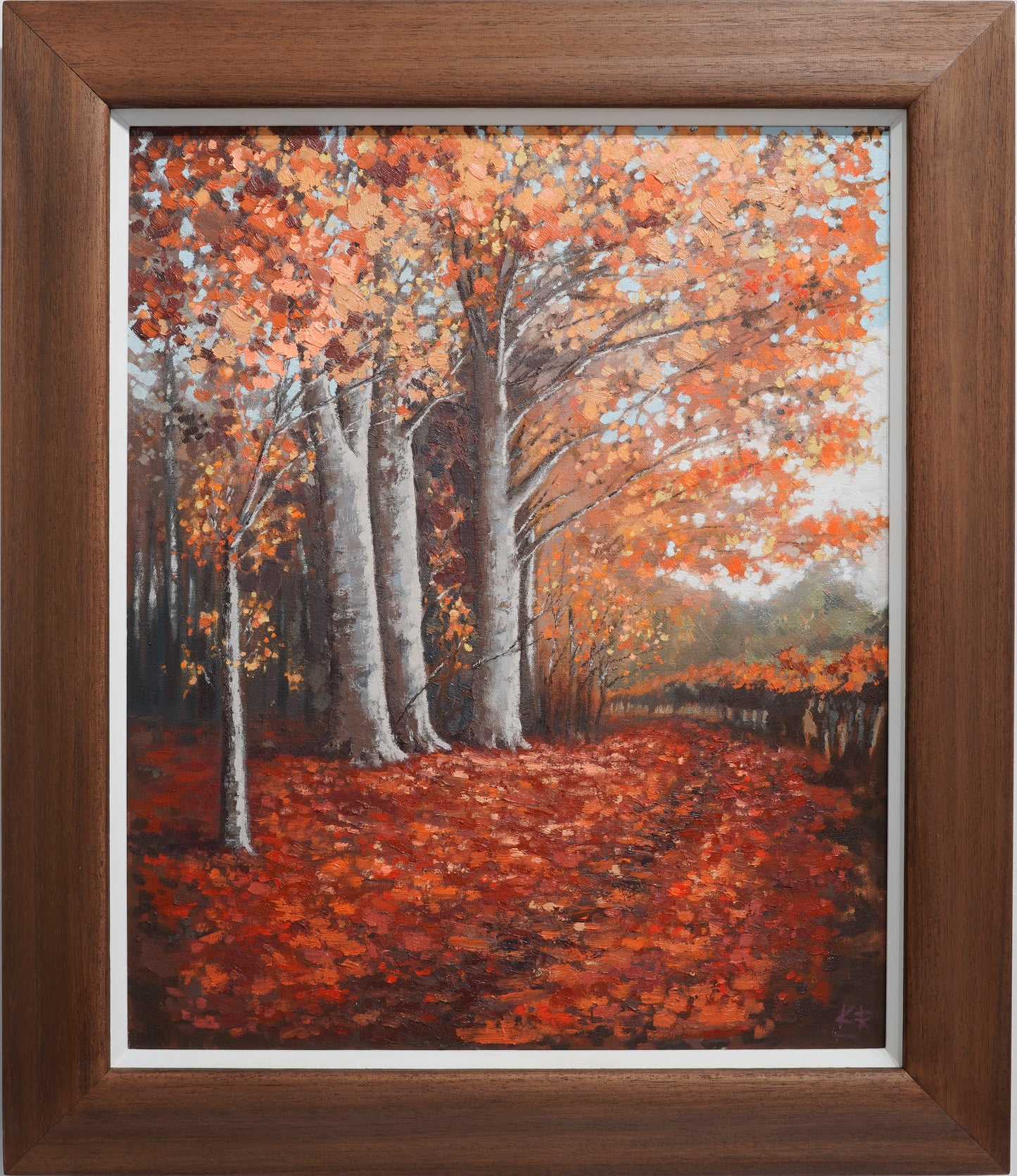 Autumn path to the Eildons
