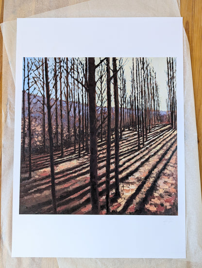 "Long Shadows, Merton Bridge" Limited Edition Print